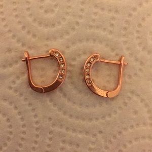 Rose Gold earrings